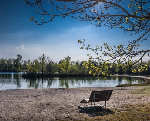 Eine Bank steht am Ufer eines Sees an einem sonnigen Frühlingstag