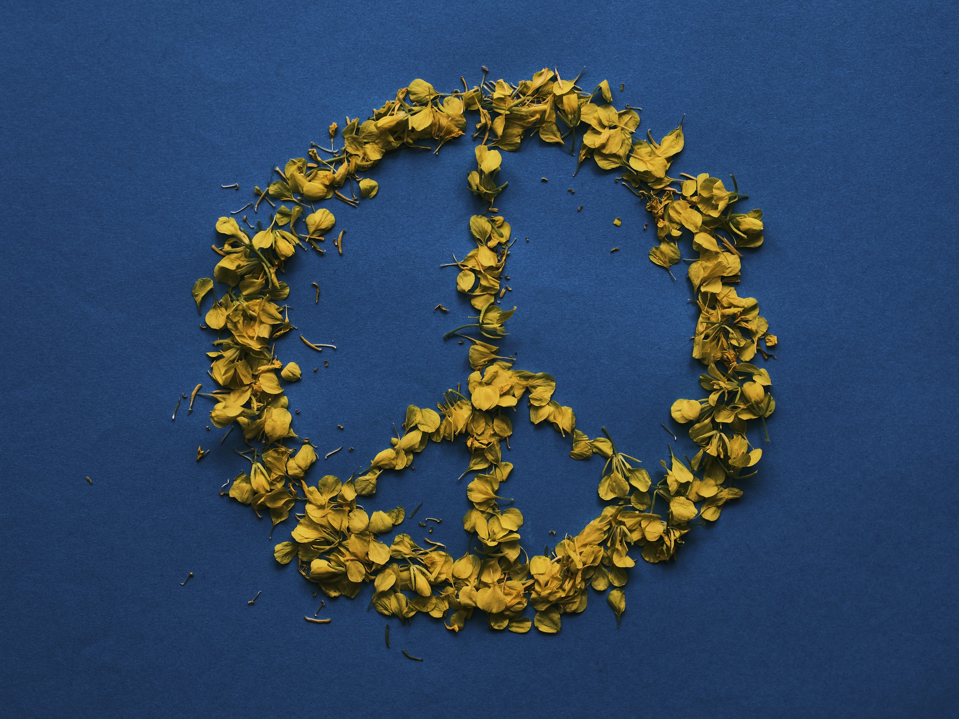Das Friedenszeichen aus gelb-brauen Blättern auf einem blauen Hintergrund