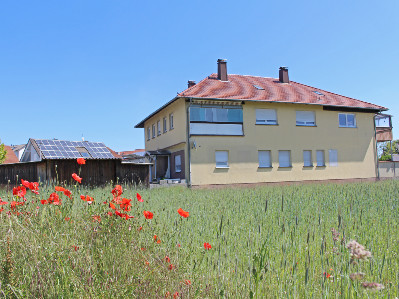 Das Gebäude vom Jugendtreff an einem sonnigen Tag mit einer Blumenwiese im Vordergrund